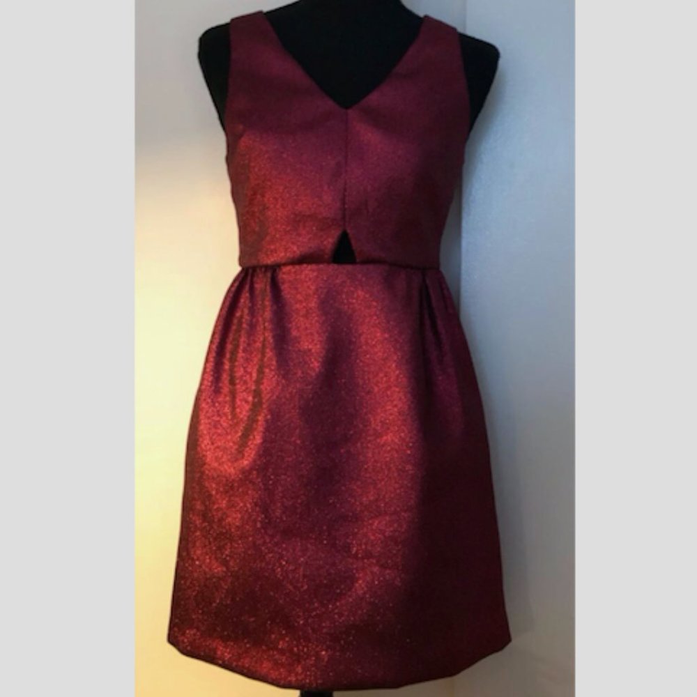 NWT Fuchsia Metallic Dress